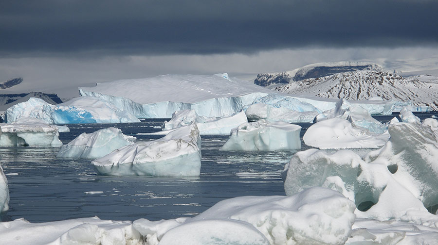 Herbert Sound icebergs (Clarke) alt