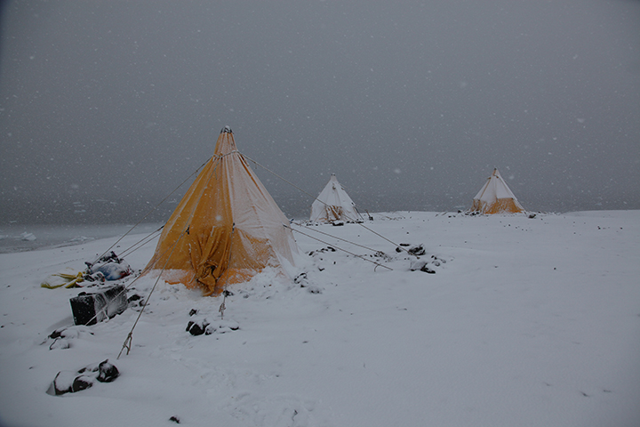Tents in blizzard (Meng)alt