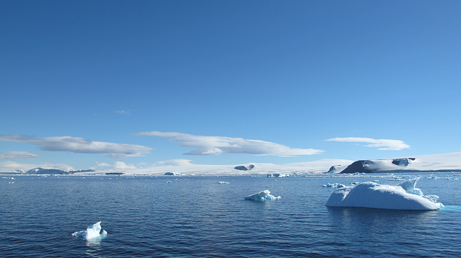 Weddell icebergs (Clarke) alt