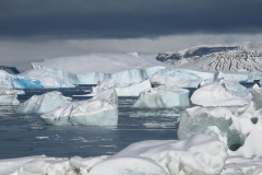 Herbert Sound icebergs (Clarke) alt
