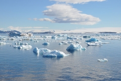 Icebergs alt