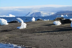 Fur seals & funky icebergs (Meng) alt