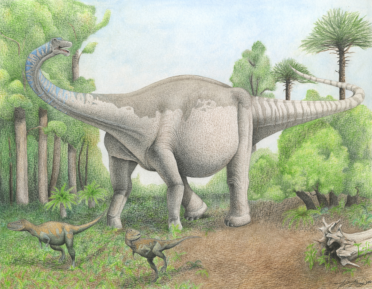 Где большой динозавр. Зауроподы Юрского периода. Титанозавр зауропод. Травоядные динозавры зауроподы. Завроподы Юрского периода.